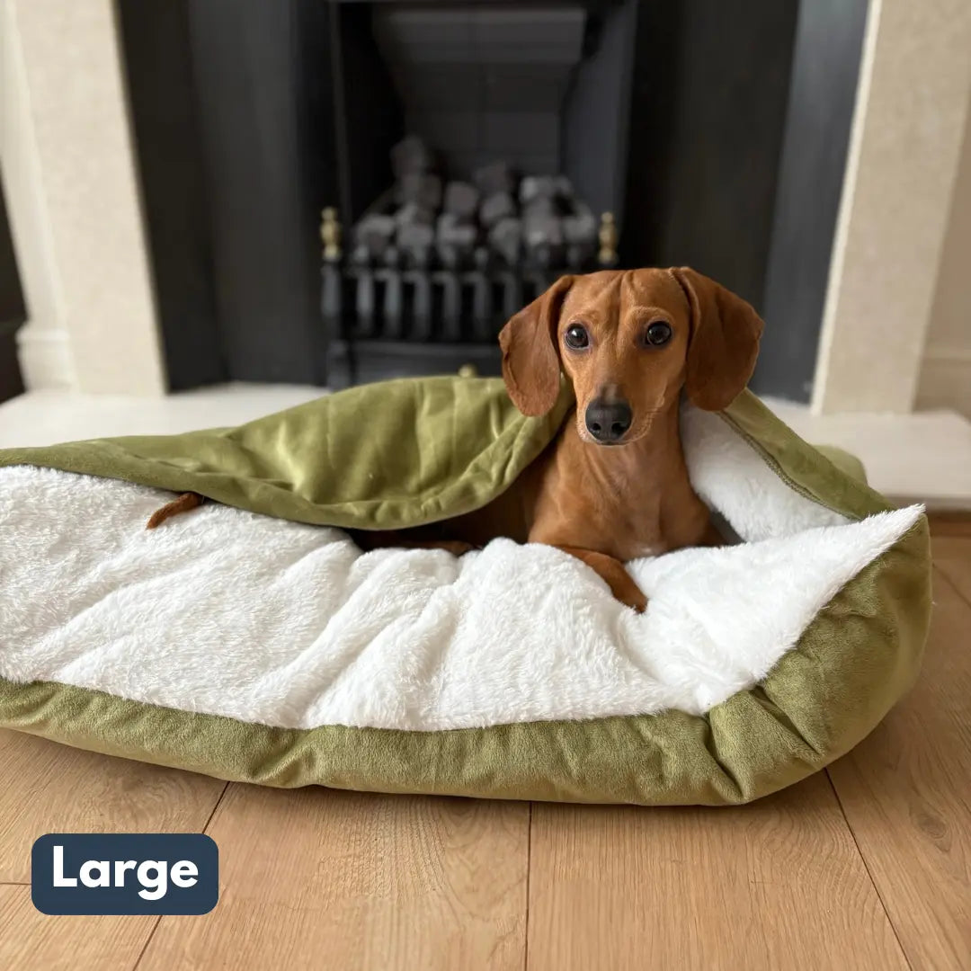 The Snuggle Bed