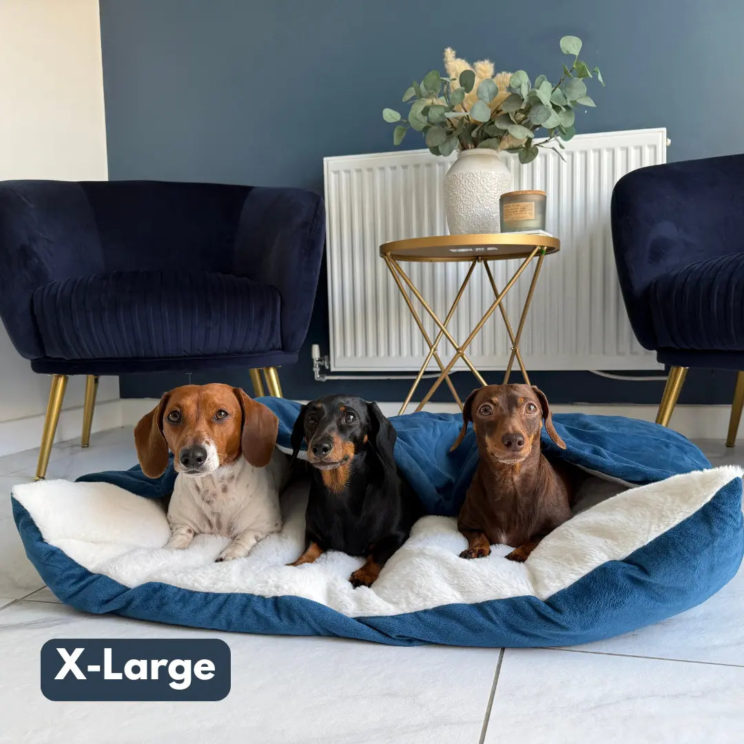 The Snuggle Bed