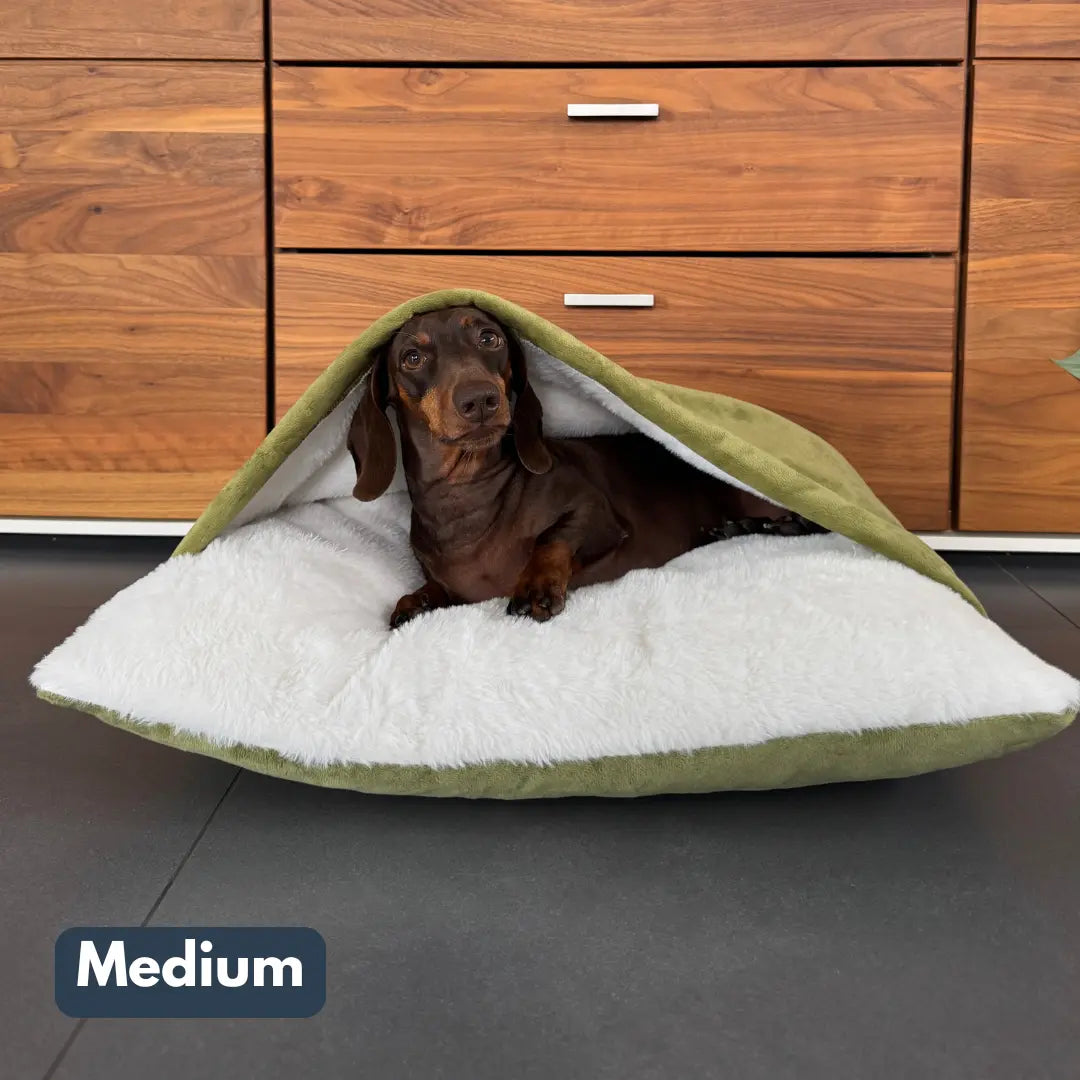 The Snuggle Bed