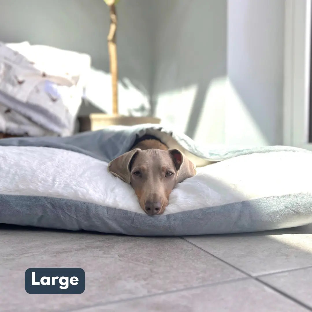 The Snuggle Bed
